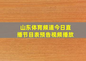 山东体育频道今日直播节目表预告视频播放