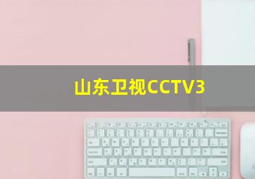 山东卫视CCTV3