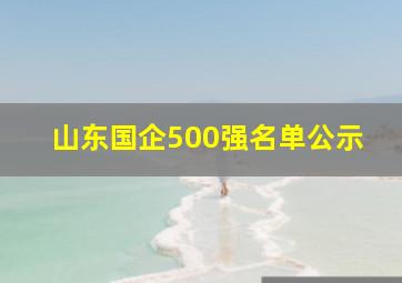 山东国企500强名单公示