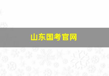 山东国考官网