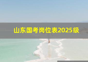 山东国考岗位表2025级