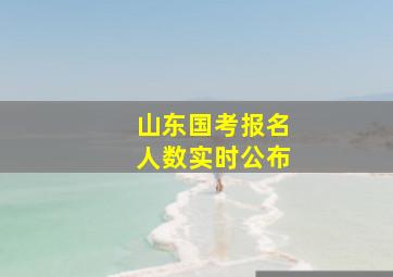 山东国考报名人数实时公布