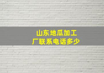 山东地瓜加工厂联系电话多少