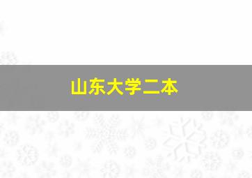 山东大学二本