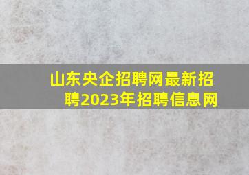 山东央企招聘网最新招聘2023年招聘信息网