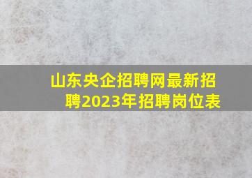 山东央企招聘网最新招聘2023年招聘岗位表