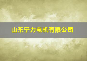 山东宁力电机有限公司