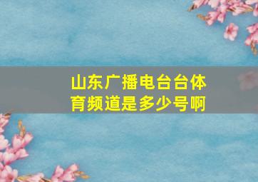 山东广播电台台体育频道是多少号啊