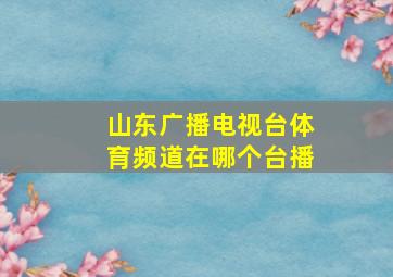 山东广播电视台体育频道在哪个台播