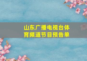 山东广播电视台体育频道节目预告单