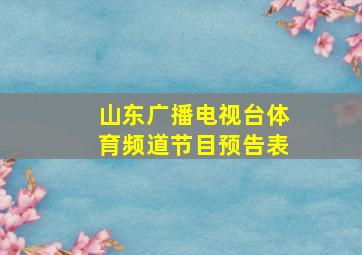 山东广播电视台体育频道节目预告表