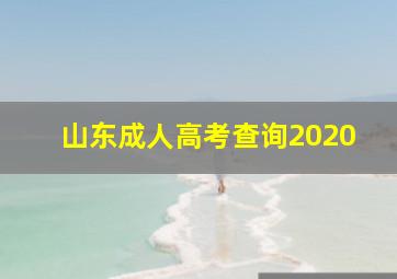 山东成人高考查询2020