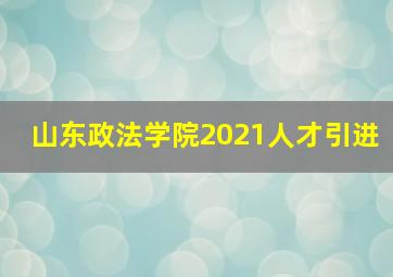 山东政法学院2021人才引进