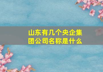 山东有几个央企集团公司名称是什么