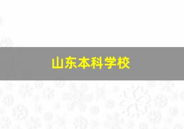 山东本科学校