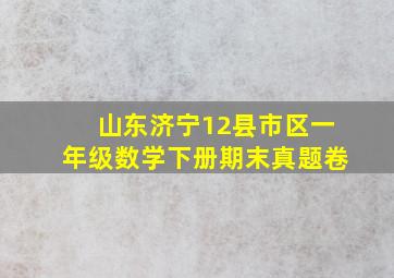 山东济宁12县市区一年级数学下册期末真题卷