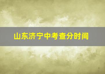 山东济宁中考查分时间