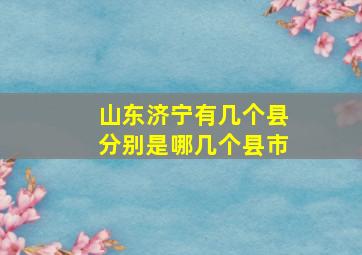 山东济宁有几个县分别是哪几个县市