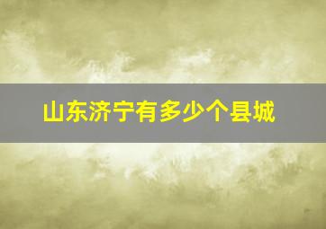 山东济宁有多少个县城