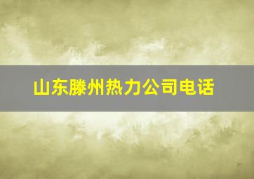 山东滕州热力公司电话