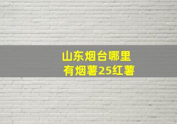 山东烟台哪里有烟薯25红薯