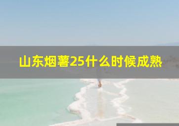 山东烟薯25什么时候成熟