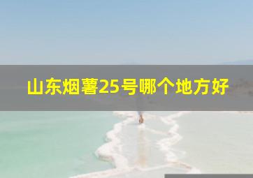 山东烟薯25号哪个地方好