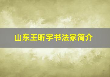 山东王昕宇书法家简介