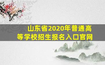 山东省2020年普通高等学校招生报名入口官网