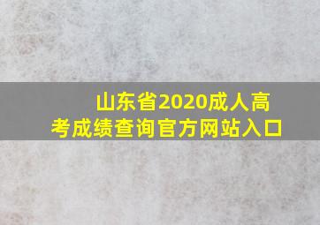 山东省2020成人高考成绩查询官方网站入口