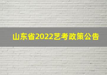 山东省2022艺考政策公告