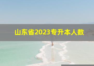 山东省2023专升本人数