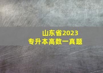 山东省2023专升本高数一真题