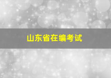 山东省在编考试