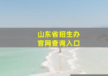 山东省招生办官网查询入口