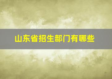 山东省招生部门有哪些