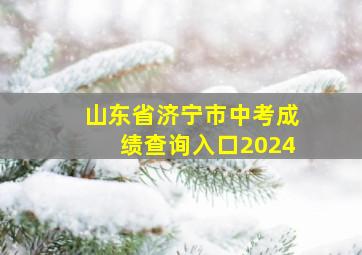 山东省济宁市中考成绩查询入口2024