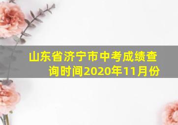 山东省济宁市中考成绩查询时间2020年11月份