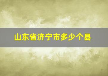 山东省济宁市多少个县