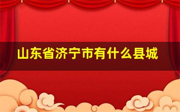 山东省济宁市有什么县城