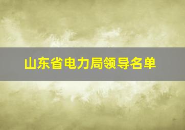 山东省电力局领导名单