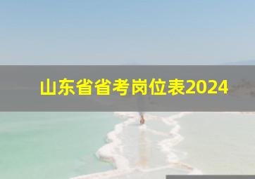 山东省省考岗位表2024