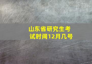 山东省研究生考试时间12月几号