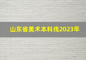 山东省美术本科线2023年