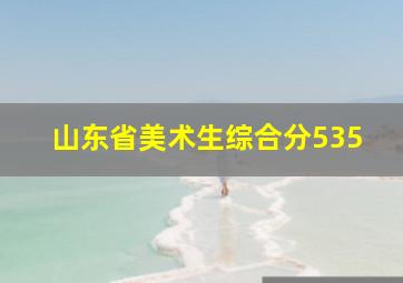 山东省美术生综合分535