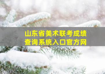 山东省美术联考成绩查询系统入口官方网