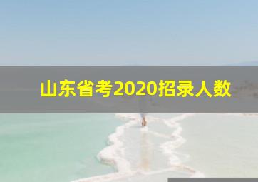 山东省考2020招录人数