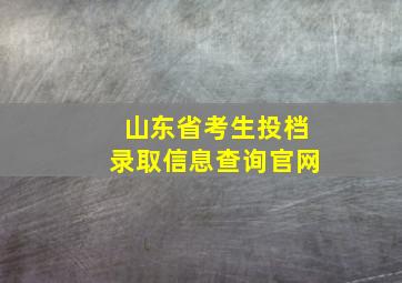 山东省考生投档录取信息查询官网