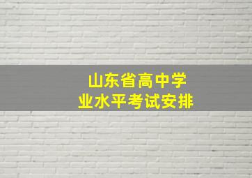 山东省高中学业水平考试安排