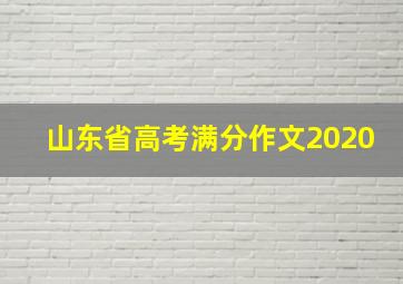 山东省高考满分作文2020